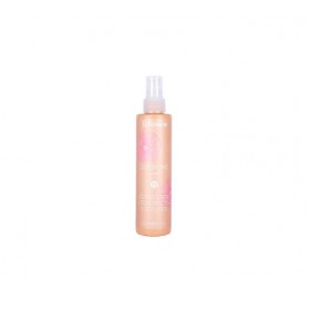 DISCIPLINE ANTI-FRIZZ SMOOTHING SPRAY 200ML