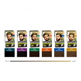 BIGEN MEN'S BEARD COLOUR