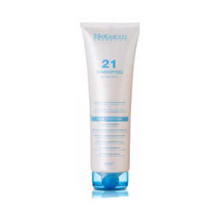 SALERM 21 CHAMPU 300ML