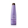 BLUEBERRY SILVER ACONDICIONADOR 350ML