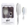 KIT FESTIVE FINISH DETANGLER+MINI DETANGLER SILVER