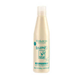 SALERM 21 250ML